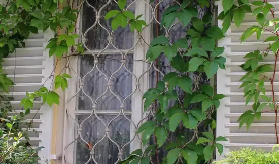 Fenstergitter schützt stilvoll ein Pflanzenbewachsenes Fenster mit weißen Klappläden.