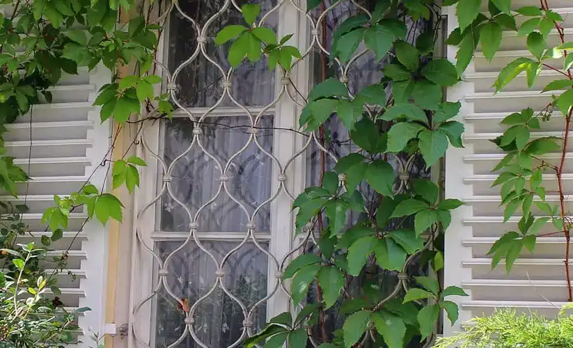Fenstergitter schützt stilvoll ein Pflanzenbewachsenes Fenster mit weißen Klappläden.